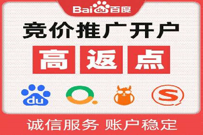 百度广告竞价之成功案例：某行业领军企业的崛起之路